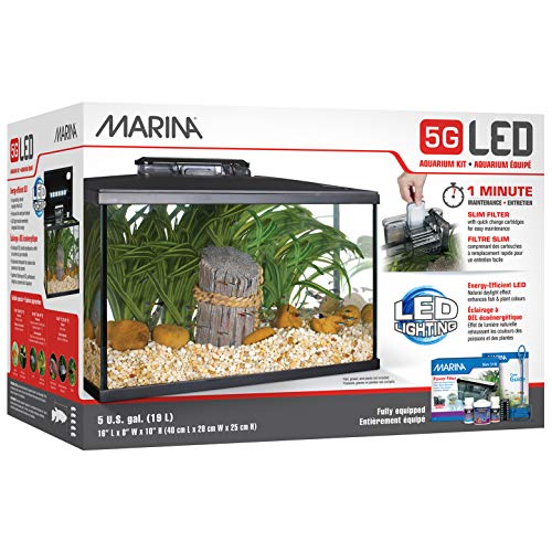Marina 5 Gallon (19 L) LED Aquarium Kit – Ideal for Beginner Aquarists and New Fish-Keepers