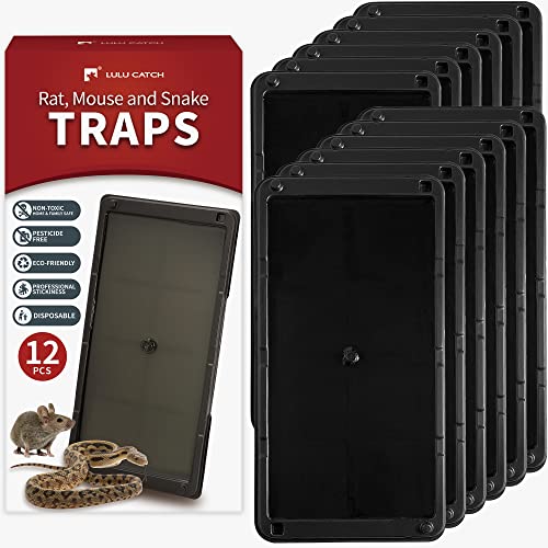LULUCATCH Super Heavier Mouse Traps 12 Pack for Mice & Snakes with Non-Toxic Glue. Larger Sticky Traps Indoor, Easy to Set, Safe to Children & Pets