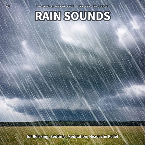 Rain Sounds, Pt. 26