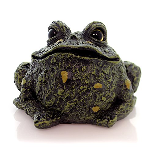 Home & Garden TOAD SMALL Polyresin Toad Hollow 99889 Green