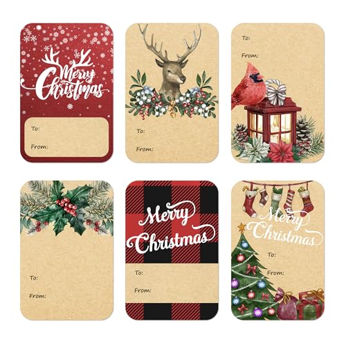 DreamBuilt 120pcs Christmas Gift Tags Stickers Self Adhesive - 2'x3' Christmas Name Tags for Gifts Festival - to from Gift Tag Stickers for Presents