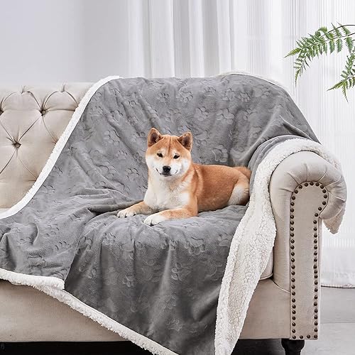 Qeils Dog Blankets for Small Dogs - Waterproof Cat Blanket Washable - Sherpa Fleece Puppy Blanket, Soft Plush Reversible Throw Protector for Bed Couch Car Sofa, 30'X40', Grey