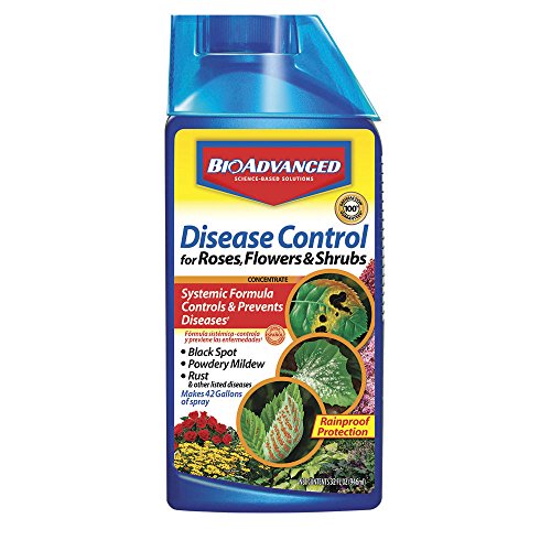 BioAdvanced Disease Control for Roses, Flowers and Shrubs, Concentrate, 32 oz