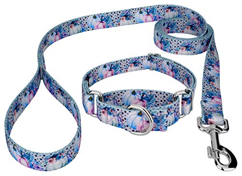 Country Brook Petz - Watercolor Pumpkins Martingale Dog Collar and Leash Limited Edition - Awesome Autumn Collection with 7 Design You Will Fall for (1/2 Inch, Mini)
