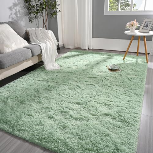 Pettop Fluffy Sage Green Rug for Bedroom Living Room, 4x6 Feet Rectangle Large Rug Plush Fuzzy Carpet for Girls Kids Boys, Non-Slip and Washable Rug for Nursery Classroom Decor Rug