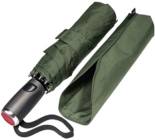 LifeTek Windproof Travel Umbrella - Compact, Automatic, Wind Resistant, Strong and Portable - Small Folding Backpack Umbrellas for Rain Perfect for Car, Purse, Women and Men - 42 FX1 Green