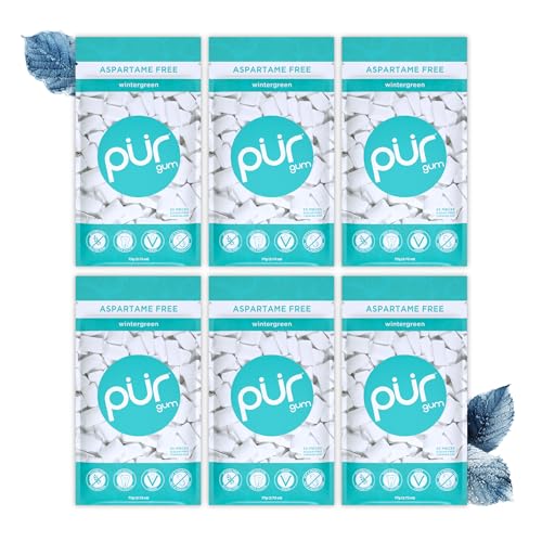 PUR Gum | Aspartame Free Chewing Gum | 100% Xylitol | Natural Wintergreen Flavored Gum, 55 Pieces (Pack of 6)