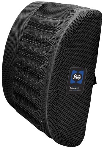 Sealy Memory Foam Cushion