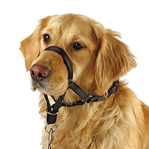 Soft Dog Head Collar, No Pull Training Tool for Small Medium Large Dogs on Walks, Gentle Training Collar and Control for Heavy Pullers, Includes Free Training Guide (L, Black)
