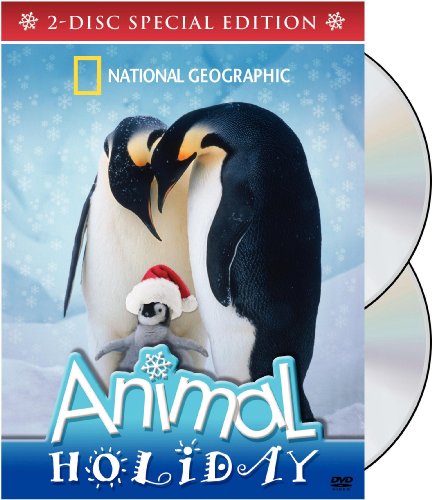 Animal Holiday