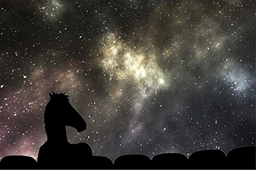 Zolto poster BoJack Horseman, an American adult animated black comedy-drama series, Will Arnett, Diane Nguyen, Princess Carolyn 12 X 18 inch