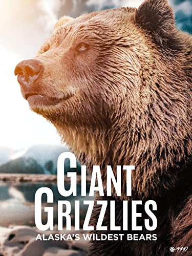 Giant Grizzlies
