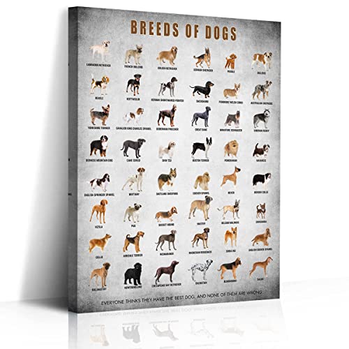 Popular Dog Breeds Wall Art Vintage Waterproof Canvas Prints Puppy Knowledge Poster Types of Dogs Poster Ready to Hang Framed 12x16inch