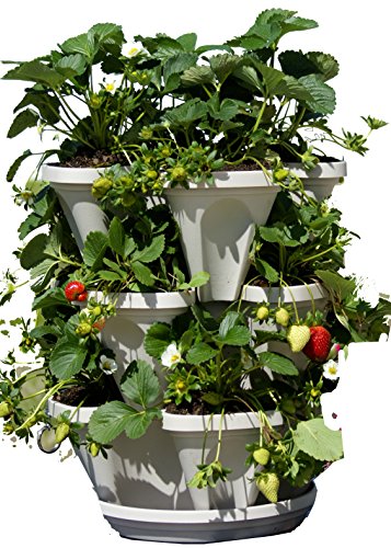 3 Tier Stackable Garden - Indoor / Outdoor Vertical Planter Set - Self Watering Tiers From Top Down - Grow Fresh Herbs In The Kitchen or Patio - Smart Planting Pots - Used for Strawberries Herbs Peppers Flowers and Succulents (Stone)