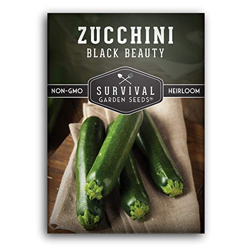 Survival Garden Seeds - Black Beauty Zucchini Seed for Planting - Pack with Instructions to Plant and Grow Dark Green Zucchini in Your Home Vegetable Garden - Non-GMO Heirloom Variety - 1 Pack