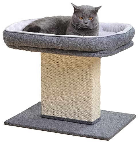 Catry Cat Bed with Scratching Post - Minimalist Style Design of Cat Tree with Cozy Cat Bed and Teasing Scratching Post, Allure Kitten to Stay Around This Sturdy and Easy to Assemble Cat Furniture