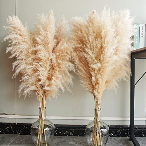 Bannifll 40' inch 10 Stems Natural Pampas Grass Decor Tall, pompas Grass, Tall Pampas Grass for Wedding, Party, Farmhouse, Boho Home Decor
