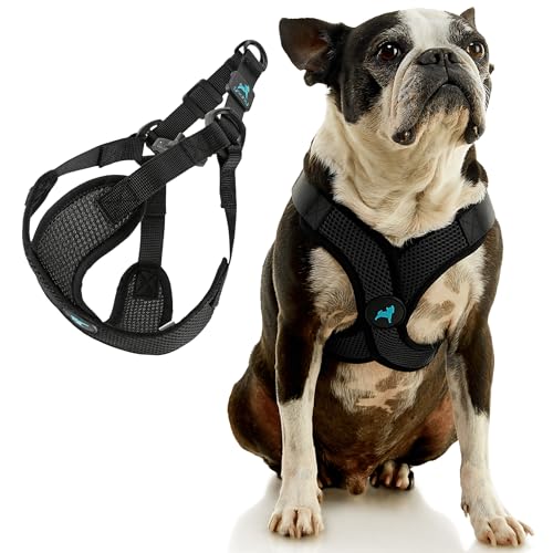 Gooby Comfort X Step in Lite Harness - Black, Small - Choke Free and Escape Free Dog Harness with Light Breathable Mesh for Small Dog and Medium Dog