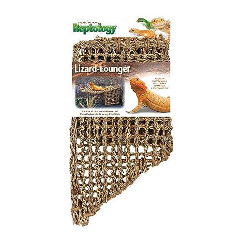 Penn-Plax Reptology Lizard Lounger Corner Triangle with Ladder– 100% Natural Seagrass Fiber – Great for Bearded Dragons, Anoles, Geckos, and Other Reptiles – Large