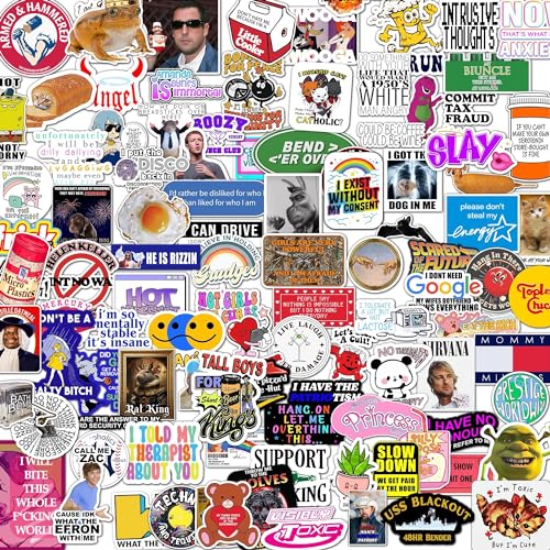 100pcs Funny Stickers Teens/Adults, Meme, Large Sticker Pack for Laptop, Gaming Console, Water Bottles, Hard Hats, Computers, Vinyl Waterproof Decals