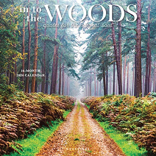 Graphique 2024 In to the Woods Wall Calendar | 12” x 12” | Thick Paper | Home & Office Organizer | Large Monthly Grid | 3 Languages & Marked Holidays | 4 Month Preview Page for 2025