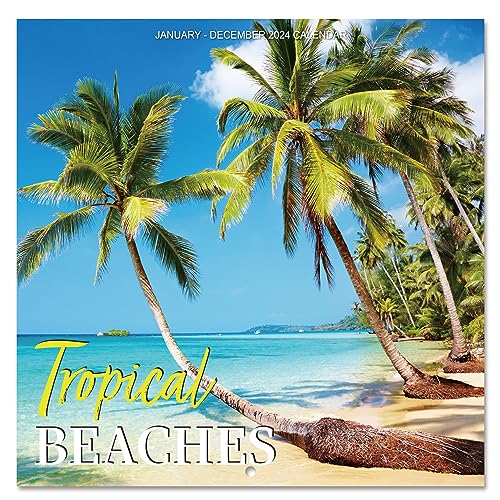 Calendar 2024 - Wall Calendar 2024, Jan. 2024 -Dec. 2024, 12' x 24' (Open), 2024 Wall Calendar with Unruled Blocks, Thick Paper - Coconut Tree