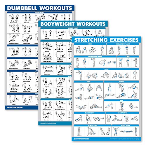 3 Pack - Dumbbell Workouts + Bodyweight Exercises + Stretching Routine Poster Set - Set of 3 Workout Charts (Laminated, 18' x 24')