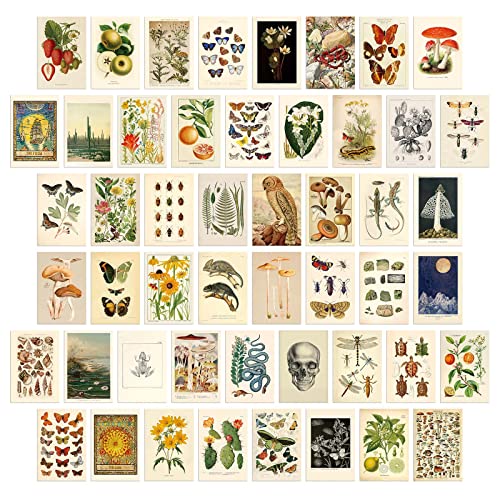 LA MAISON COZY 50PCS Boho Wall Collage Kit, Boho Room Posters Art Print, 4x6'' Vintage Wall Decor Gift for Teen Girls' Dorm Room