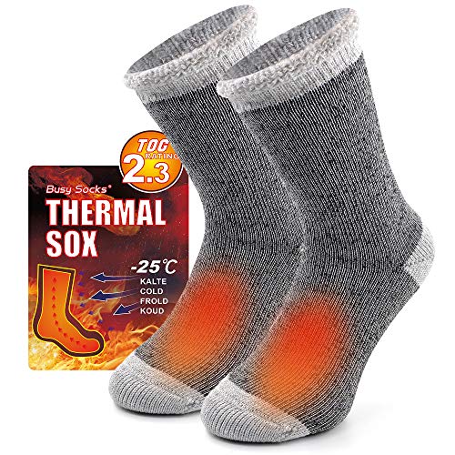 Busy Socks Winter Warm Thermal Socks for Men Women Extra Thick Insulated Heated Crew Boot Socks for Extreme Cold Weather, Large, 1 Pair Light Grey