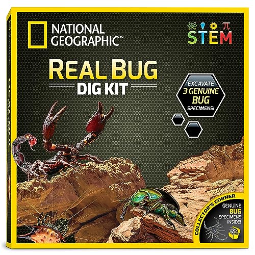 NATIONAL GEOGRAPHIC Real Bug Dig Kit - Dig up 3 Real Insects including Spider, Fortune Beetle and Scorpion - Great STEM Science gift