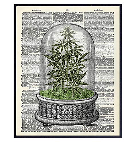 Marijuana Decor - Weed Smoking Gifts - Dope Wall Decor - Cannabis Wall Art - Pothead Gifts - Stoner Room Decor - Pot Smoker Gifts - Weed Posters - Smoking Marijuana Poster - 8x10 Ganja