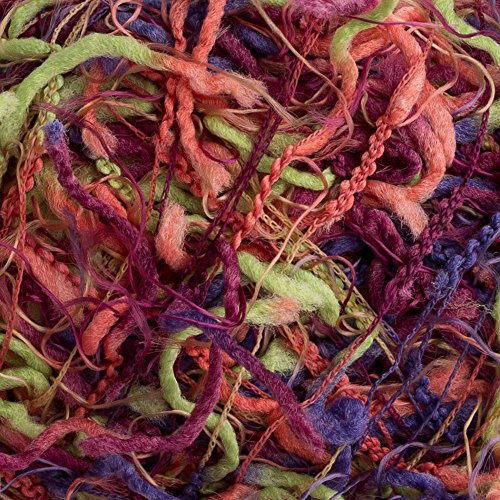 Crystal Palace - Squiggle Knitting Yarn - Picnic (# 9290)