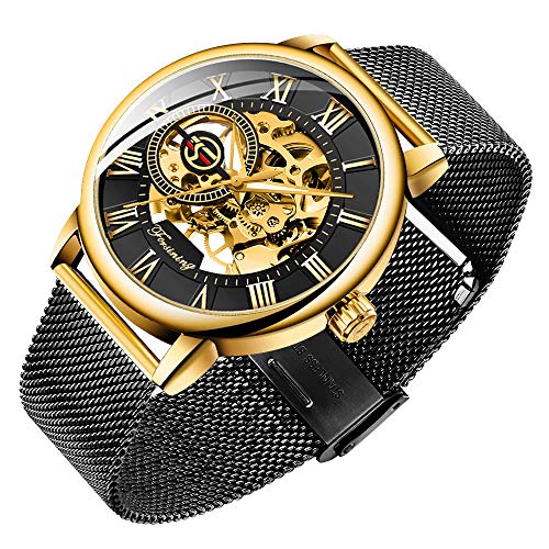 Dentily Mens Watches Classic Roman Numeral Mechanical Watch Hand-Wind Skeleton Steampunk Watch