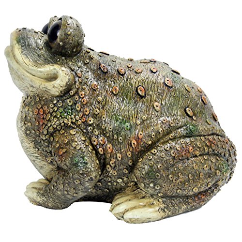 Michael Carr Designs Kenzie Toad Outdoor Toad Figurine for Gardens, patios and lawns (80084)