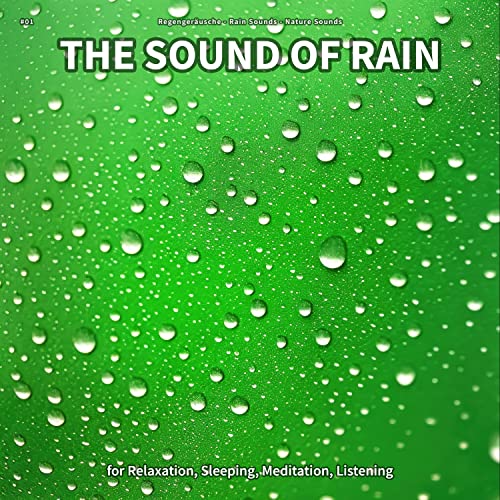 The Sound of Rain, Pt. 26