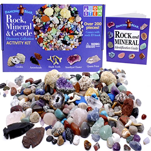 DANCING BEAR Rock, Mineral & Geodes Treasure Hunt Activity Kit (200 Pc Set) Real Shark Teeth Fossils, ID Sheet & Rock Book, STEM