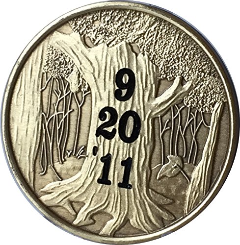 Personalized Engraved Date Medallion or Keychain This Day My New Life Began Chip AA NA Gift