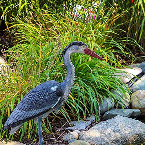 The Pond Guy Blue Heron Decoy