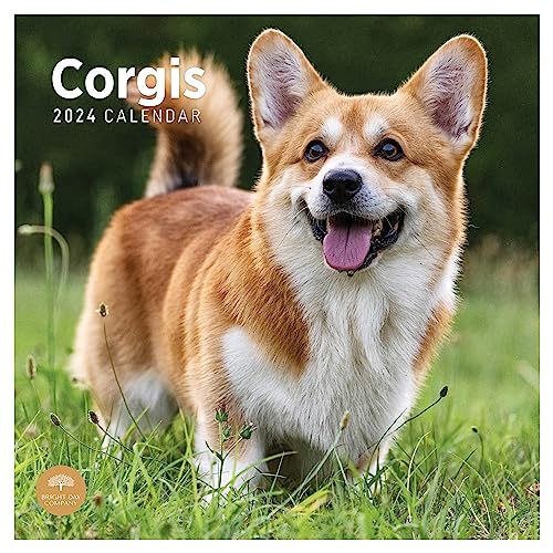 2024 Corgis Monthly Wall Calendar by Bright Day, 12 x 12 Inch Cute Dog Breed Gift