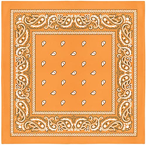 L&M 12Pcs Bandanas 100% Cotton Paisley Print Head Wrap Scarf Wristband (Orange A)