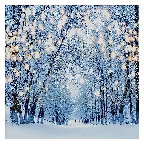 Allenjoy 6 x 6 FT Winter Forest Backdrop Wonderland Snowflake Photography Background Bokeh Glitter Snow Scene Christmas Party Decoration Tree Landscape Portrait for Photobooth Photo Studio