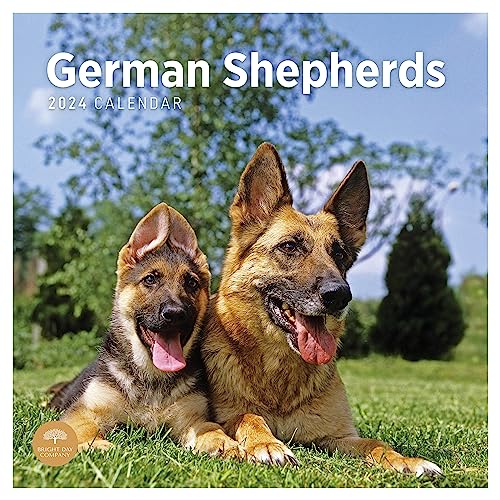 2024 German Shepherds Monthly Wall Calendar by Bright Day, 12 x 12 Inch Cute Dog Breed Gift