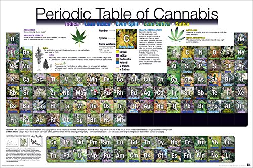 Culturenik Periodic Table of Cannabis (Weed Marijuana Table) Novelty Drug Smoking Humor Poster Print (Unframed 24 x 36 Poster)
