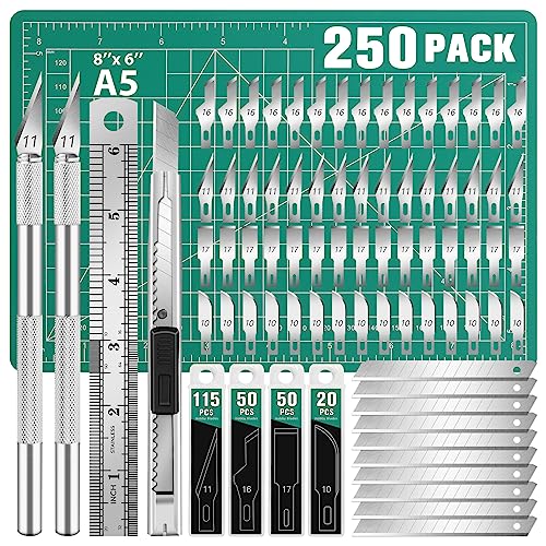 DIYSELF 250 Pcs Exacto Knife, Craft Knife, Hobby Knife, Precision Knife, Exacto Knife for Crafts, Modeling, Scrapbooking, 2 Exacto Knives with Extra 235 Exacto Blades (#11#10#16#17)