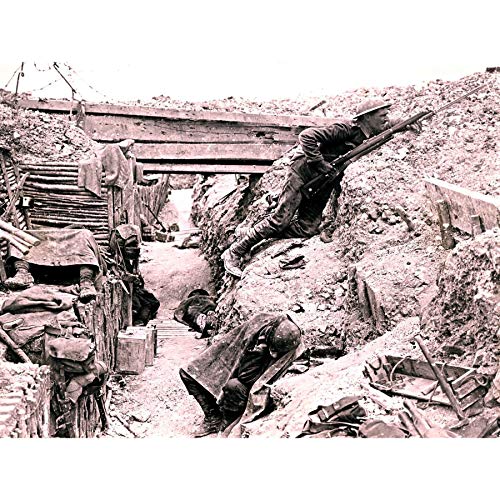 Wee Blue Coo Prints Vintage Photograph WAR WWI Military Trench Life Poster Art Print