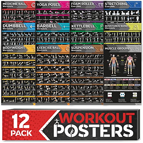 [12-PACK] Laminated Large Workout Poster Set - Perfect Workout Posters for Home Gym - Exercise Charts Incl. Dumbbell, Yoga Poses, Resistance Band, Kettlebell, Stretching & More Fitness Gym Posters