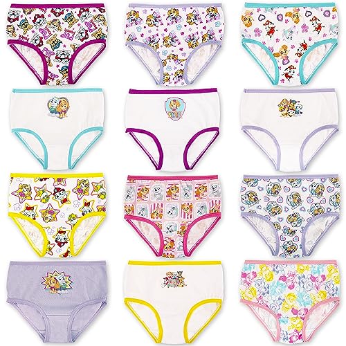 Paw Patrol Girls 12-days Advent Underwear To Make The Holidays And Potty Training Fun, Available In Sizes 2/3t, 4t 5t Briefs, Paw Tg 12pk_box, 4T US
