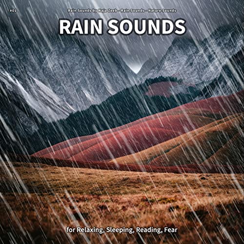 Rain Sounds, Pt. 26