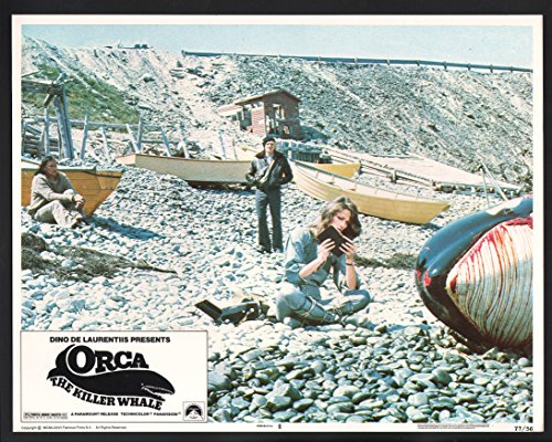 MOVIE POSTER: Orca the Killer Whale Lobby Card-Richard Harris and Charlotte Rampling