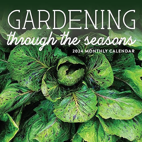 Gardening Calendar 2024 | 12' x 24' Vegetable Wall Calendar 16 Month | Marble City Press: Garden Through the Seasons | Expert Advice for Year Round Growing, Tips Throughout | Super Foods, Home Garden, Farmers Market, Herb Gardener, Farmers, Almanac, Organic, Homestead, Homesteading, Garden Kitchen, Herbs, Herbal, Fresh Food, Whole Foods